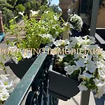 Portofino Suite Vista Mare Con Spiaggia Privata